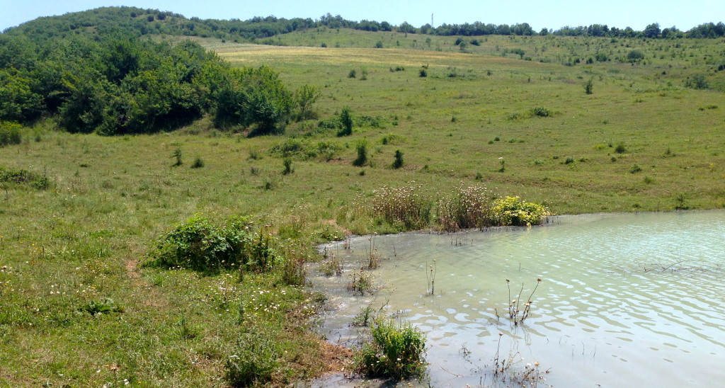 Polluted lake near Lichk, Armenia