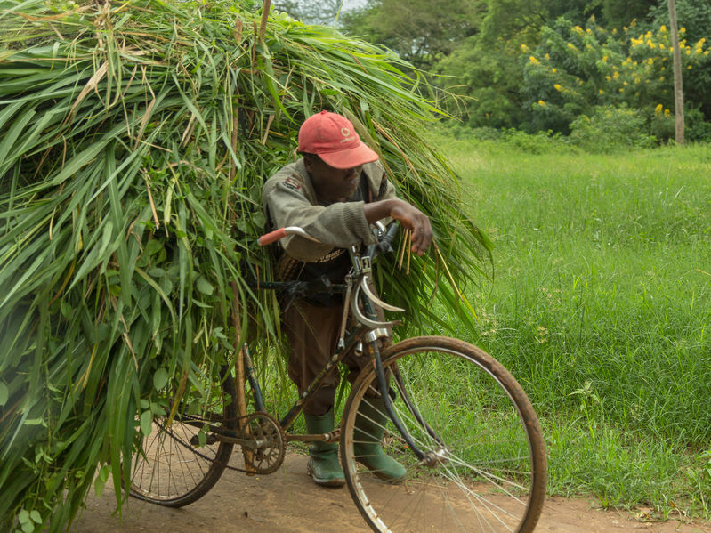 Michelle DeFreese The Mickey Leland International Hunger Fellowship