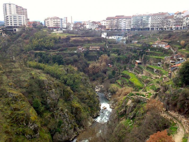 A scenic view of Parque Florestal in Vila Real, Portugal, where Anthony lived during his Fulbright ETA