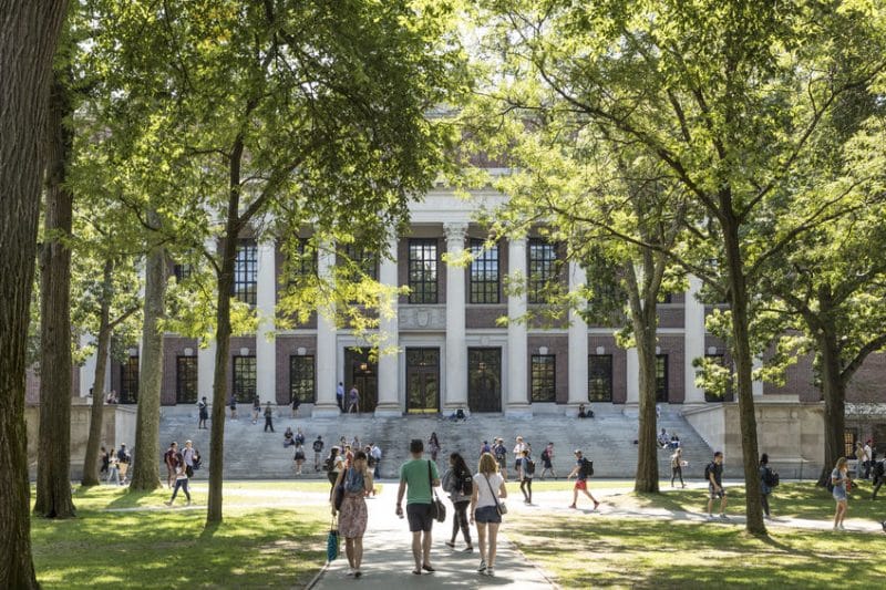 University campus picture showing a group of male and female students walking through a treed courtyard on their way to class.