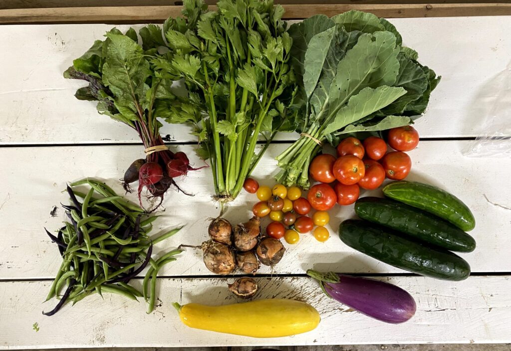 Fresh farm vegetables grown on the Dismas Family Farm displayed on white wooden table.