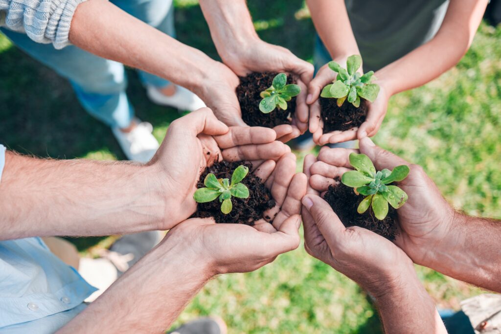 Indistinguishable people with their arms stretched out holding soil with small green-leafed samplings in their palms. Their fingertips touch, forming a star-like formation. The image represents the article which lists fellowships in environmental justice.