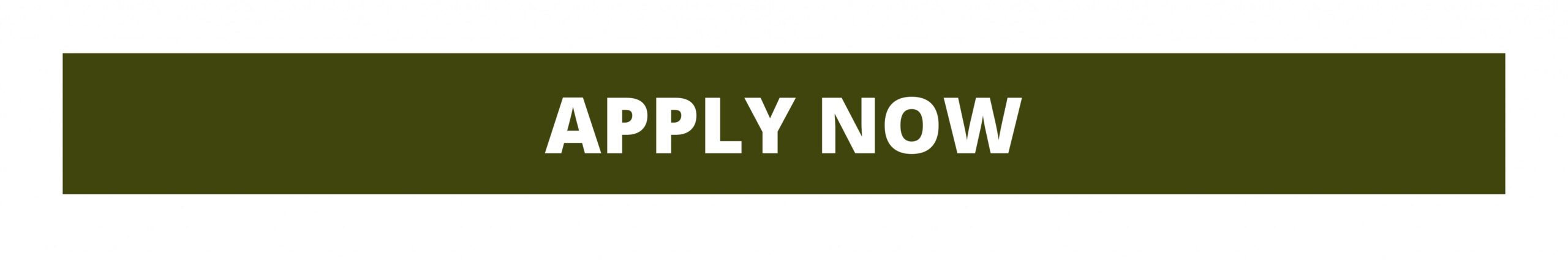 Apply Now