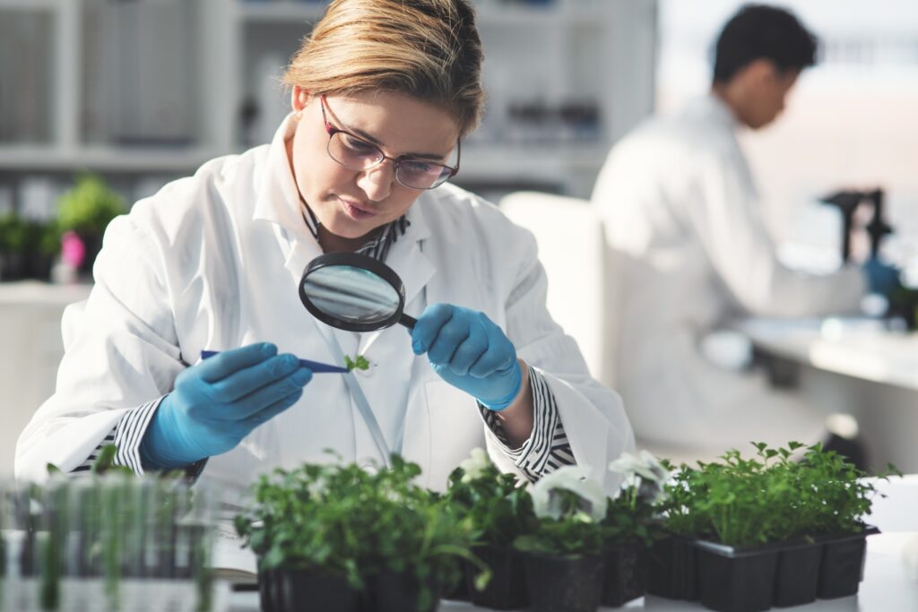 A female scientist wearing a lab coat, analyzing a plant sample using a magnifying glass in a laboratory with her colleague in the background. The image is representative of upcoming fellowship deadlines for programs in biology.