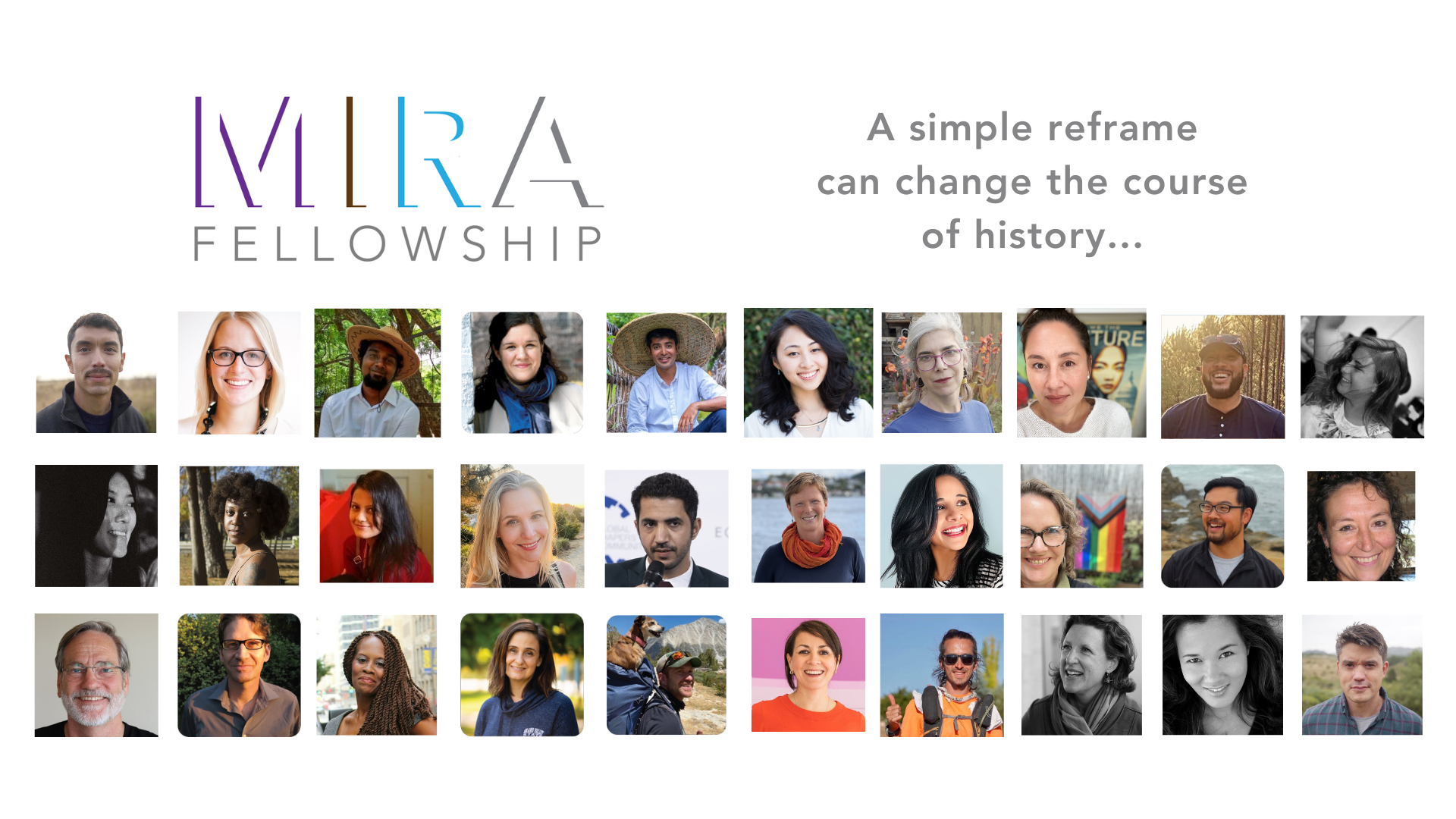 ProFellow Graphic Mira Fellowship